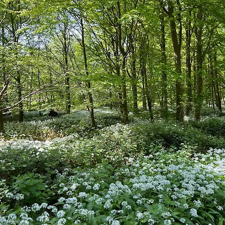 Dancamps Trelde Naes Fredericia