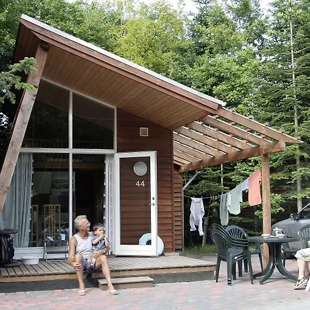 Dancamps Trelde Naes