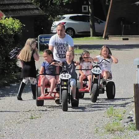 Dancamps Trelde Naes 3* Fredericia