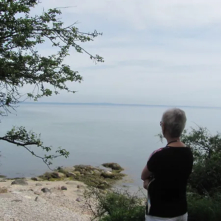 Dancamps Trelde Naes Fredericia