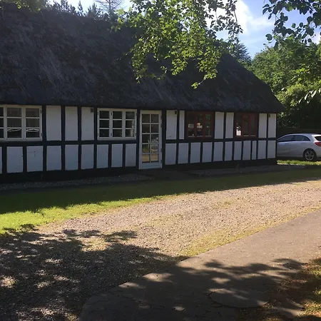 Dancamps Trelde Naes Camping