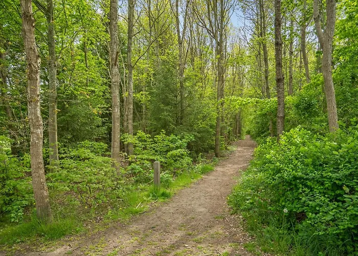 Camping Dancamps Trelde Naes