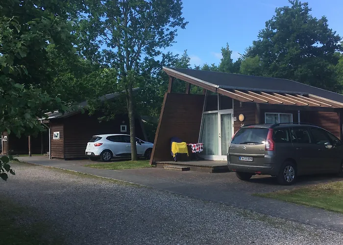 Dancamps Trelde Naes