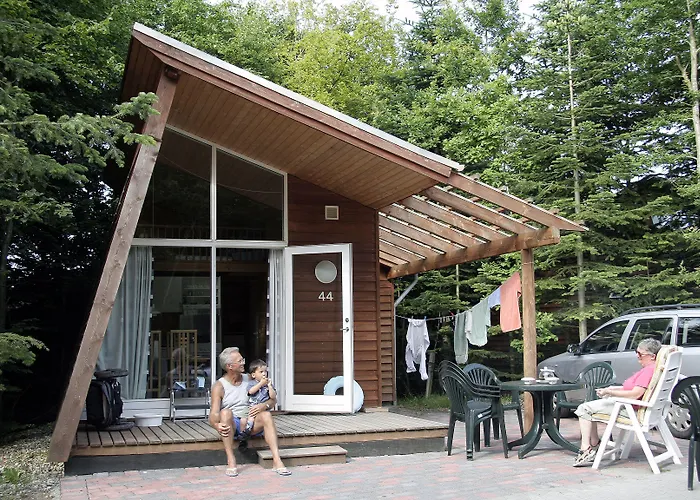 Dancamps Trelde Naes