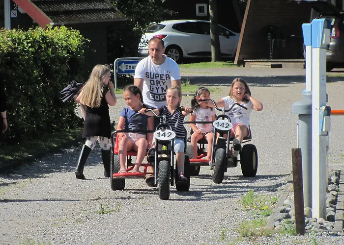 Dancamps Trelde Naes 3* Fredericia