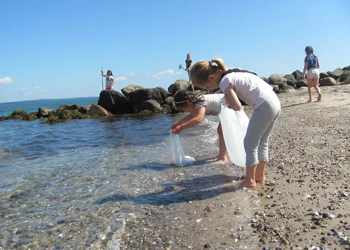 Dancamps Trelde Naes Camping Fredericia